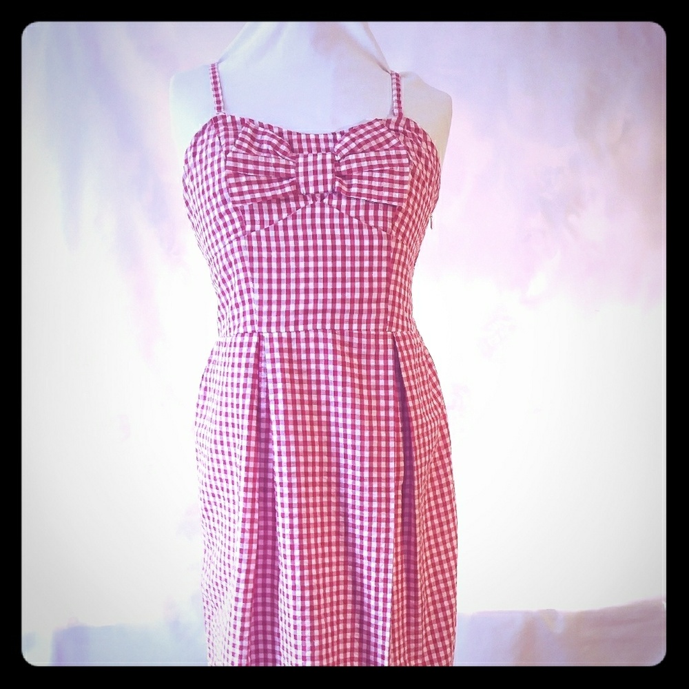 Vintage style cotton lined dress